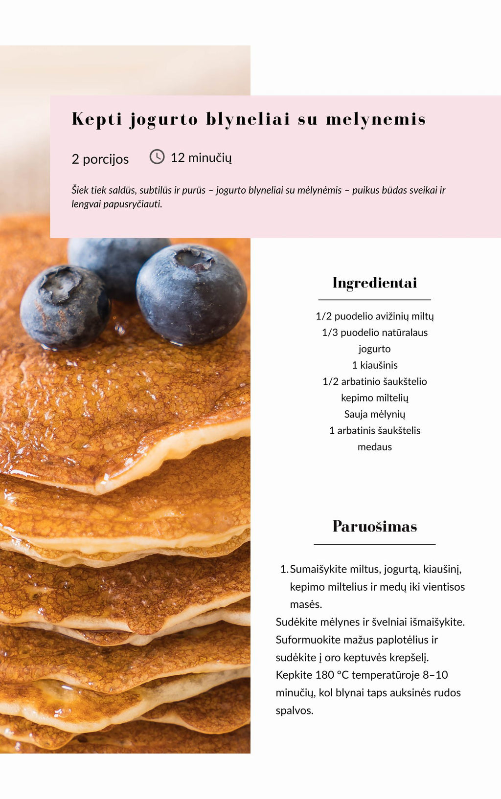 101 ORO GRUZDINTUVĖS RECEPTAS - E-BOOK